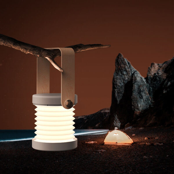 Reading and bedside lamp